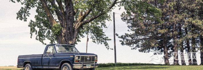 怎样根据自己的手相中看出未来的财运如何?