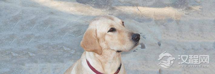 桃花运好的手相特征