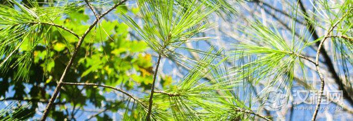 尖酸刻薄的女人面相特征分析