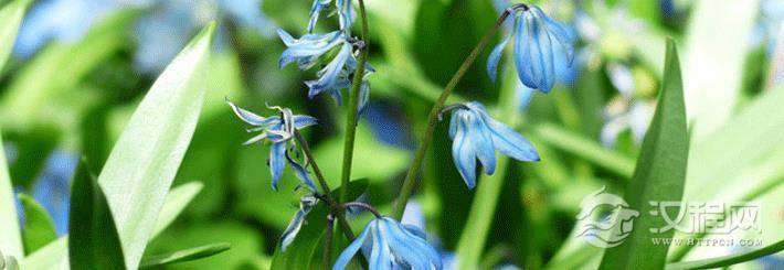 命好女人面相必备条件