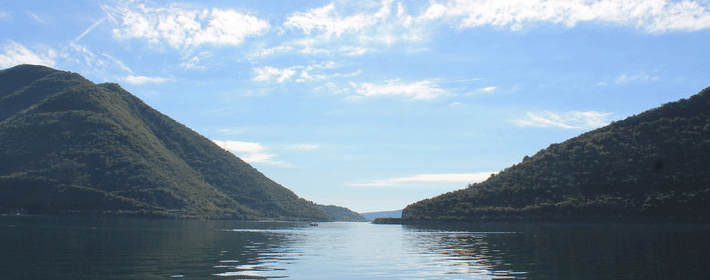 如何从无名指与食指的长短比例看出一个人的情况？