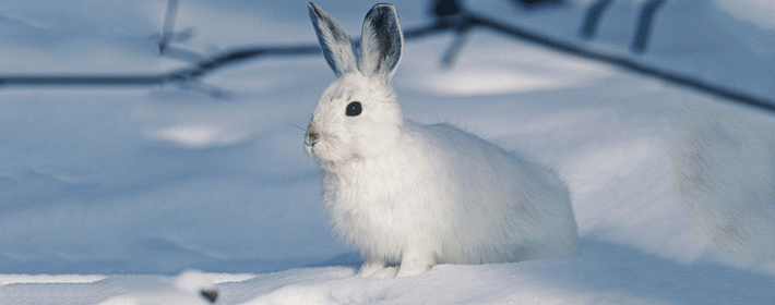 什么样的手相财运好?