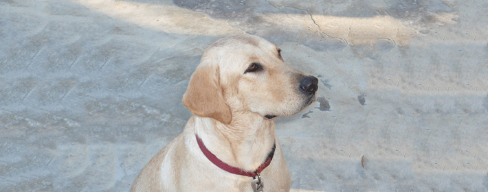 大拇指笔直的人有哪些特征？