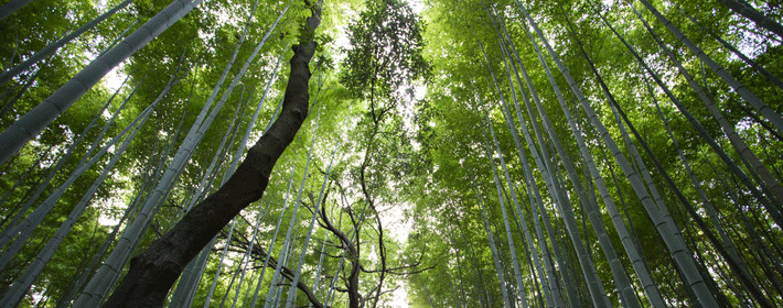 男人财运手相看财运线