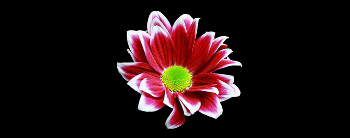 图解：手相障碍线算命