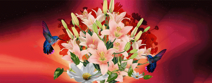 睡凤眼面相特征