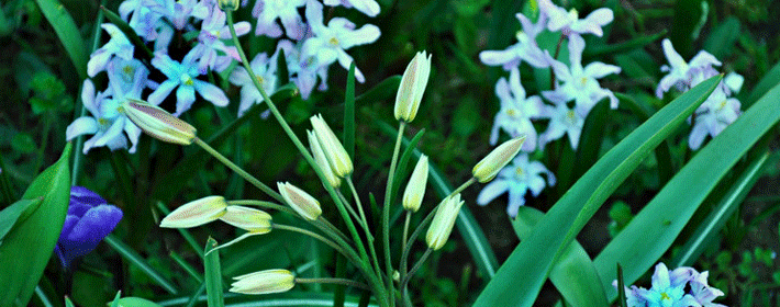 什么面相的女人最强势?