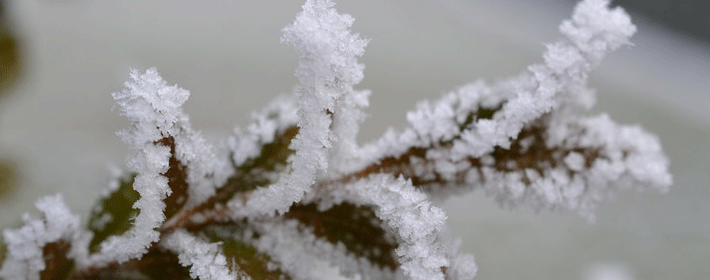 手指长短一般代表什么？