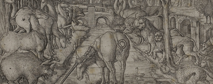 女人右眉毛的痣代表着什么