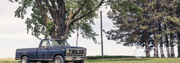 射手座的十二生肖不同性格