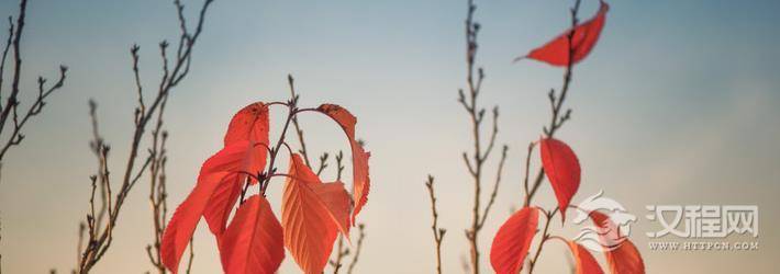 2021年，事业运最好的几个星座