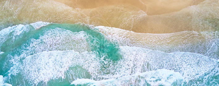 十二星座如何事业爱情双丰收