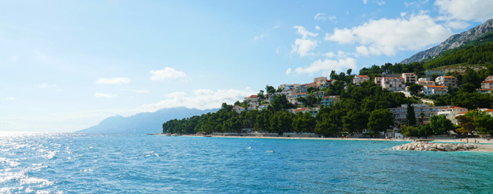 薰衣草代表什么含义有什么传说