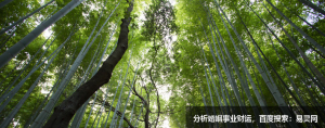12星座这表现，代表把你放心里
