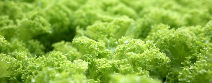 看白羊座喜欢一个人的心路历程