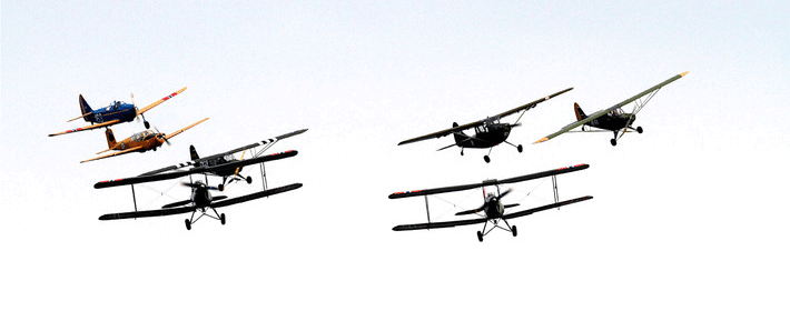 摩羯座十二生肖不同性格