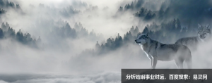 盘点总是喜欢报喜不报忧的星座