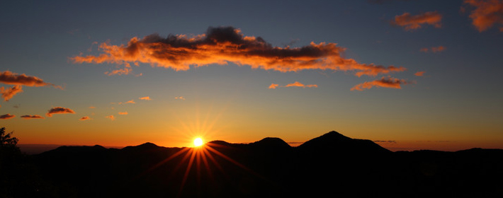 双鱼座的领导人有哪些?