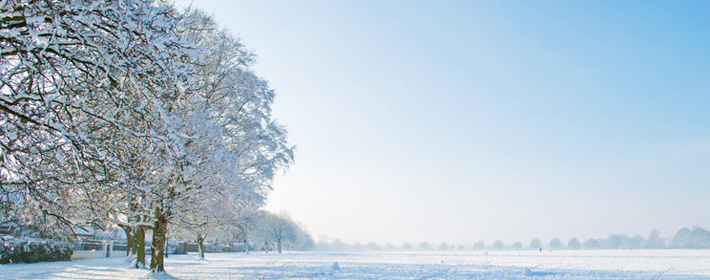狮子座眼里的前任是什么角色?