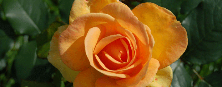 十二星座女生各种穿衣风格