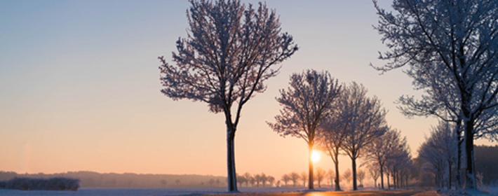 天蝎座男对待前女友的态度