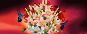 花语，送18朵玫瑰代表什么含义