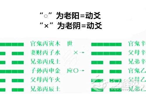 动爻怎么看