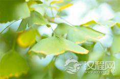 虎年出生的男孩，想起好名字赶紧看过来