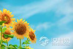 不仅气质好还非常漂亮的三大星座女！