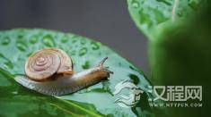 白羊座男生在爱情中有哪些弱点？