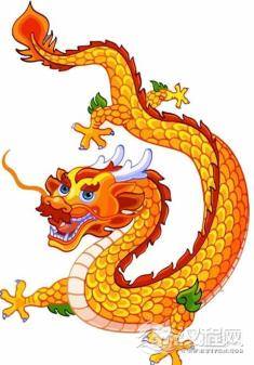 哪个属相男最宠属猴女