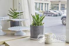 双子座应注意的健康问题 双子座的健康运势建议
