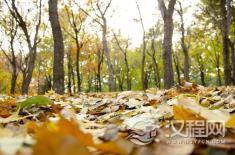 城头土命是什么?