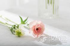 行事低调喜欢默默做事的几个星座