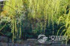 八字七杀是什么，命运又如何？