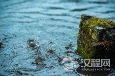 十二地支-亥水